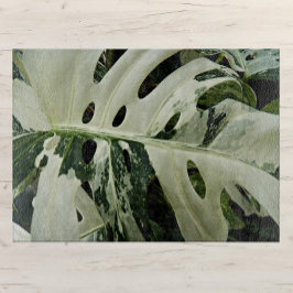 Variegierte Monstera Pflanze Botanisch Groß Schneidebrett