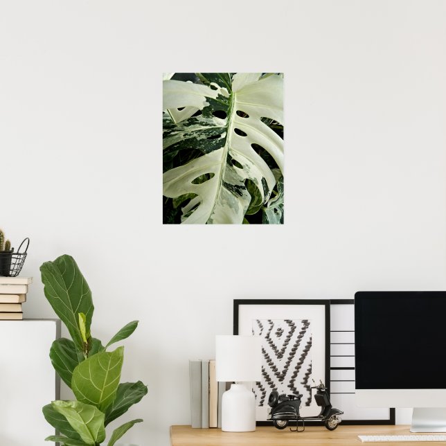 Variegierte Monstera Pflanze Botanisch Poster (Heimbüro)