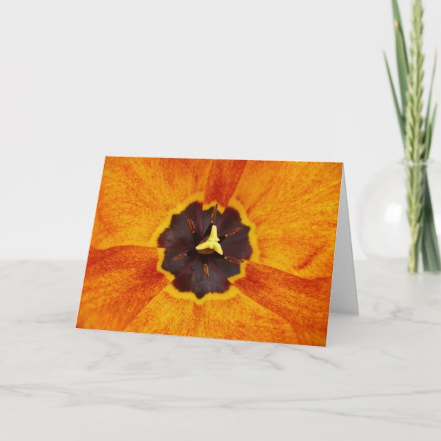 Variegierte Tulip Note Card Karte (Vorderseite)