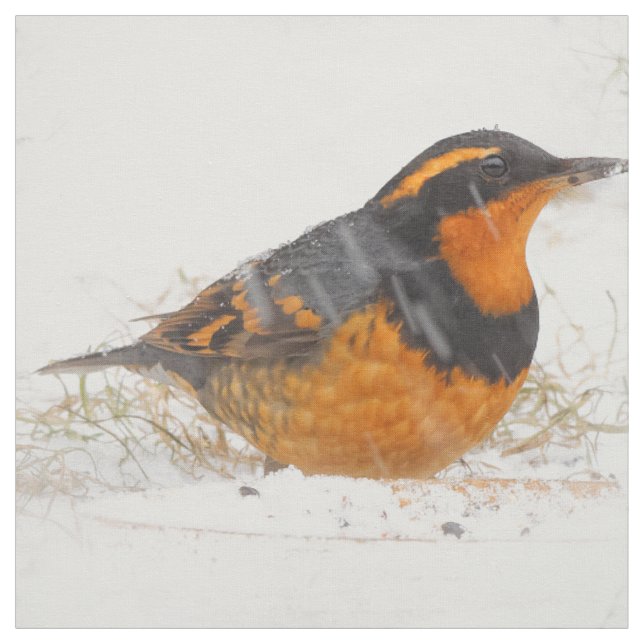 Varieté Thrush Songbird am Snowy Winter Day Stoff (Muster)