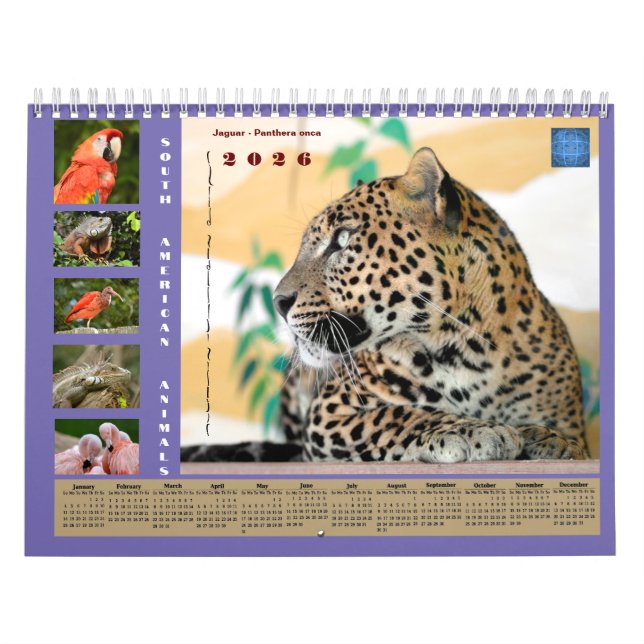 Various animals of South America Calendar Kalender (Titelbild)