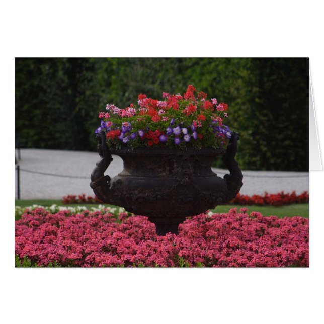 Vase mit Blume (Vorderseite (Horizontal))