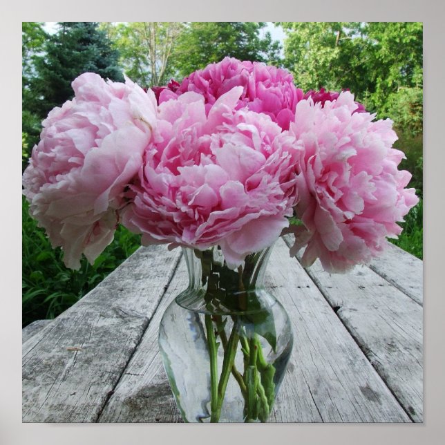 Vase Pink Peonies Poster Print (Vorne)