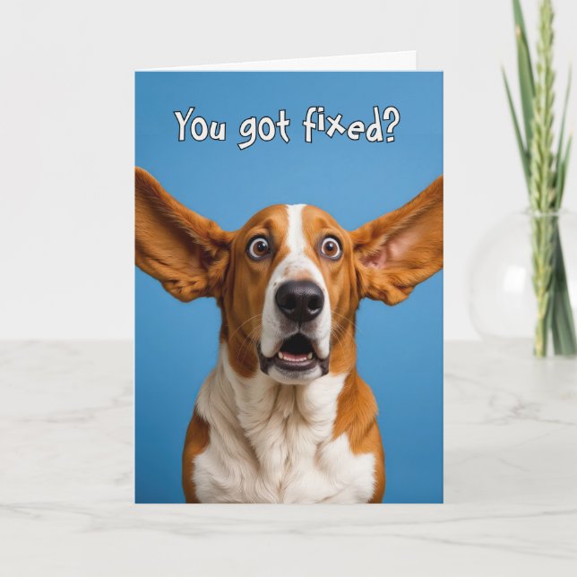 Vasectomy Basset Hound Dog Humor Karte (Vorderseite)