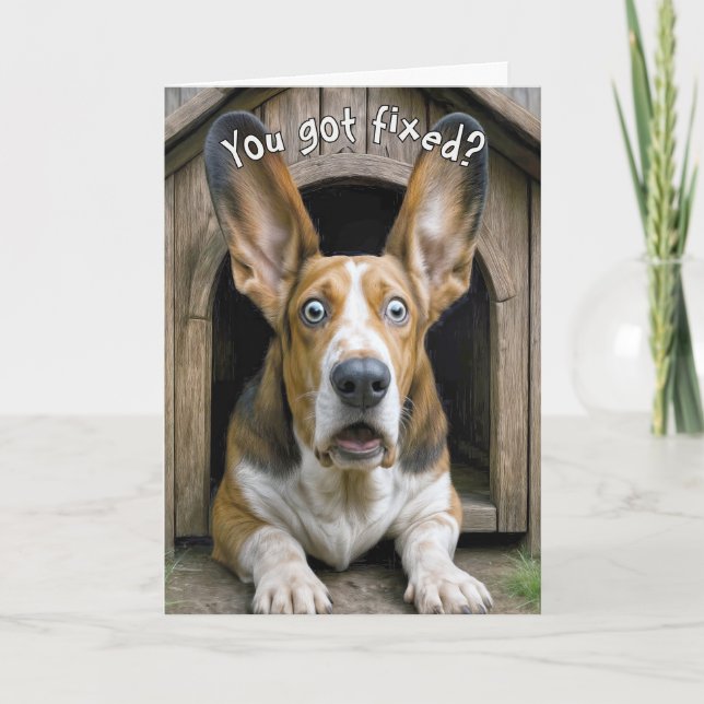 Vasectomy Basset Hound Dog Surprise Karte (Vorderseite)