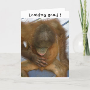 Vasektomie sieht gut aus karte