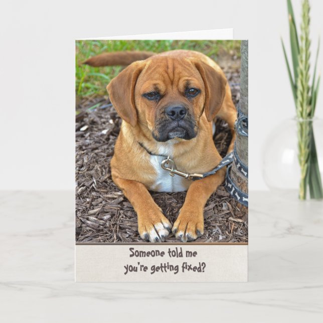 Vasektomie-Spaß Karte (Vorderseite)