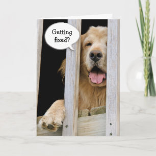 Vasektomie-Spaß Karte