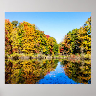 Vassar Farms Pond Poster