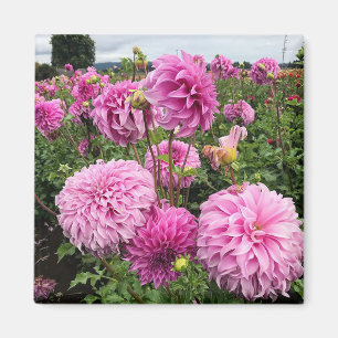 Vassio Meggos Dahlia Magnet