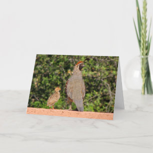 Väter Day Quail~ Kimberly P-Chadwick Karte