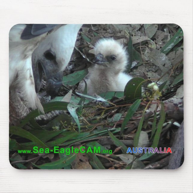 Vater mit S2 Mousepad horizontale 5 (Vorne)