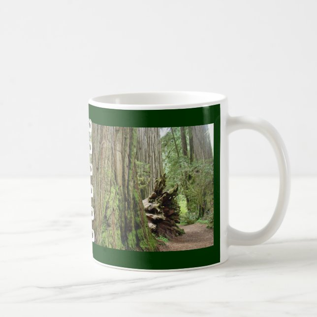 VATER VATER Coffe Tasse Big Redwood Tree Forest (Rechts)