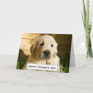 Vatertag Hund Papa Größter Bester Aller Zeiten Hau Karte