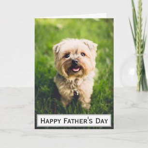 Vatertag Hund Papa Größter Bester Je Foto Karte
