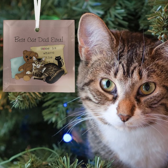 Vatertag Katze Ornament Aus Glas (Von Creator hochgeladen)