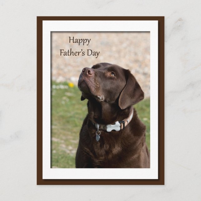 Vatertag Schokolade Brown Labrador Hund Postkarte (Vorderseite)
