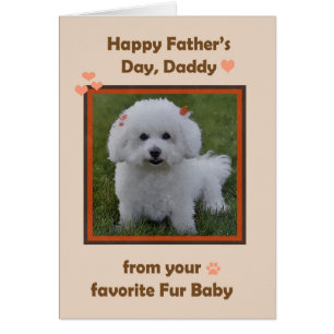 Vathers Day Daddy aus Bichon mit Foto-Rahmen