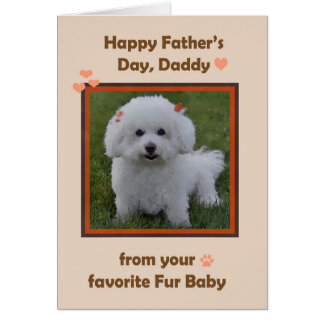 Vathers Day Daddy aus Bichon mit Foto-Rahmen
