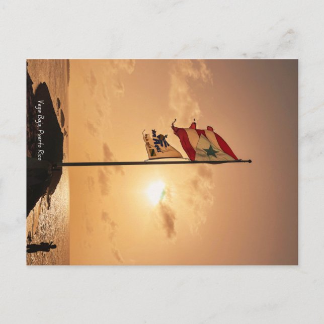 Vega Baja Puerto Rico Postcard Postkarte (Vorderseite)