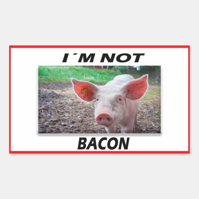 Vegan | Aufkleber für Aktivismus | Rett der Tiere (Vorderseite)