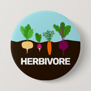Vegan - Gewürzkräuterfresken Button