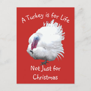 Vegane WeihnachtsTürkei Postkarte