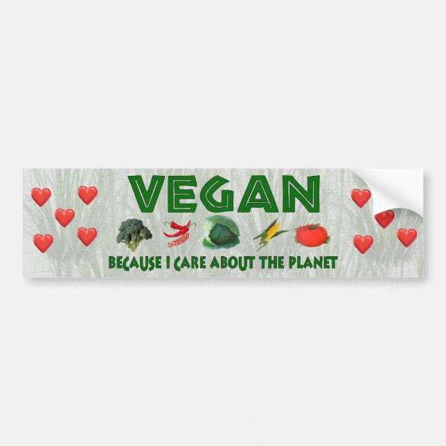 Vegans für den Planeten Autoaufkleber (Vorne)