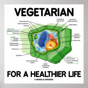 Vegetarian For A Healthier Life (Plant Cell) Poster