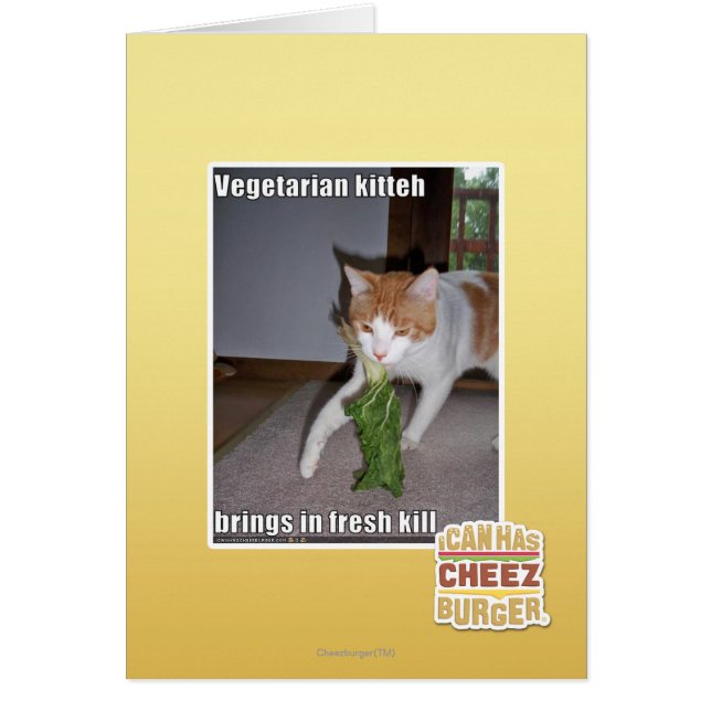 Vegetarian Kitteh (Vorne)
