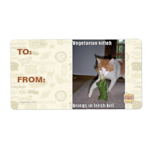 Vegetarian Kitteh