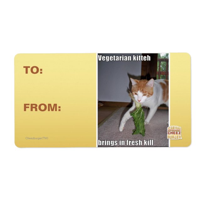 Vegetarian Kitteh (Vorne)