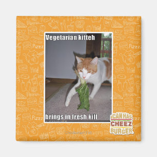 Vegetarian Kitteh Magnet