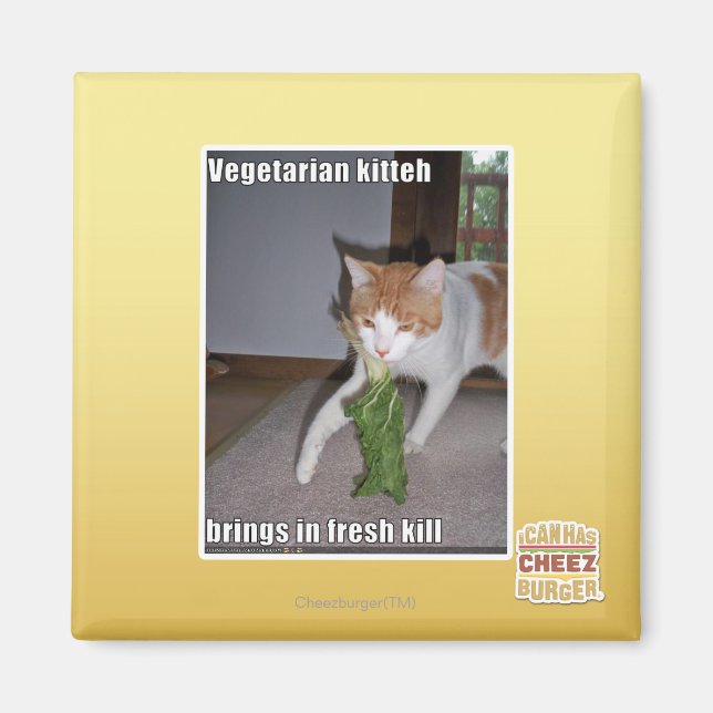 Vegetarian Kitteh Magnet (Vorne)