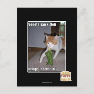 Vegetarian Kitteh Postkarte
