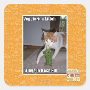 Vegetarian Kitteh Quadratischer Aufkleber