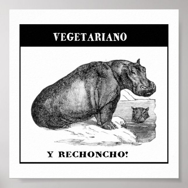 Vegetariano e gordinho poster (Vorne)