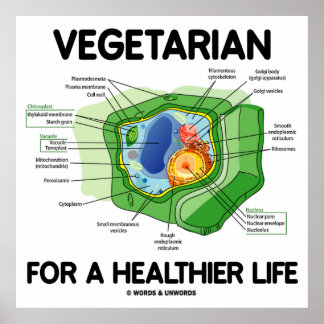 Vegetarier für ein gesünderes Leben (Pflanze Zell) Poster
