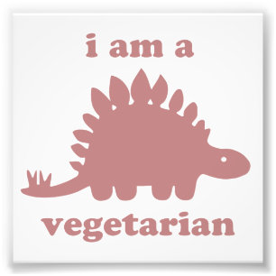 Vegetarier Stegosaurus Dinosaur - Rosa Fotodruck