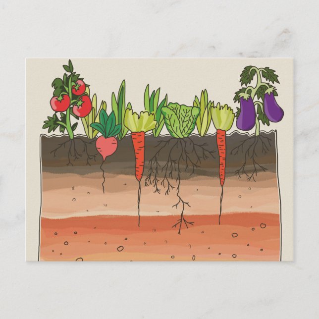Vegetarische Garten Erde Schichten Natur Kunst Postkarte (Vorderseite)