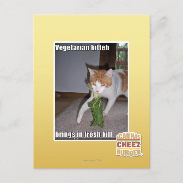 Vegetarische Küche Postkarte (Vorderseite)