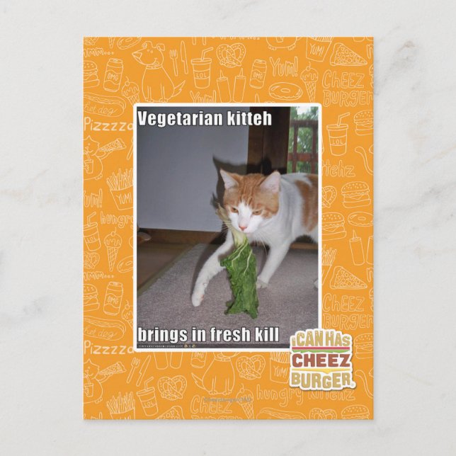 Vegetarische Küche Postkarte (Vorderseite)