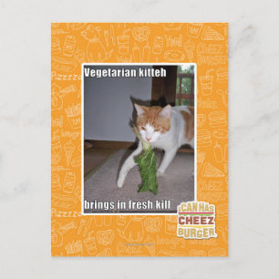 Vegetarische Küche Postkarte