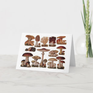 Vegetarischer Hipster-Steampunk-Vintage-Pilz Karte