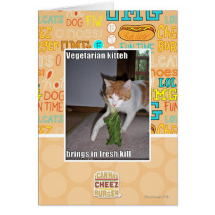 Vegetarischer Kitteh