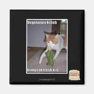 Vegetarischer Kitteh Magnet