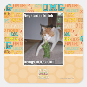 Vegetarischer Kitteh Quadratischer Aufkleber