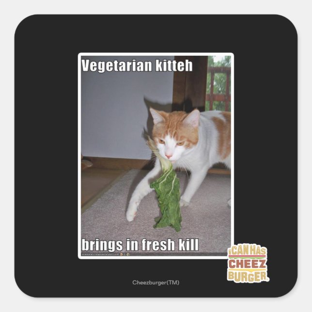 Vegetarischer Kitteh Quadratischer Aufkleber (Vorderseite)