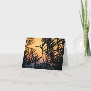 Vegetation bei Sonnenuntergang Dankeskarte