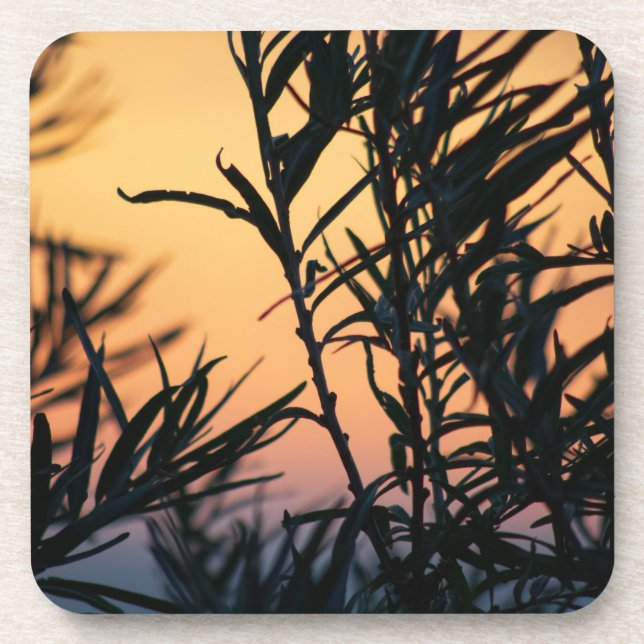 Vegetation bei Sonnenuntergang Getränkeuntersetzer (Vorderseite)